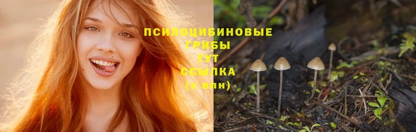 мдпв Березники