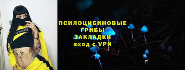 индика Домодедово