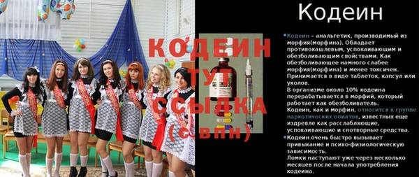 индика Домодедово