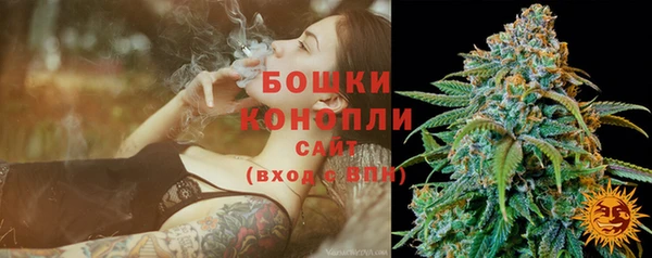 ГАЛЛЮЦИНОГЕННЫЕ ГРИБЫ Новочеркасск